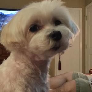 Meet your Posher, Cathy